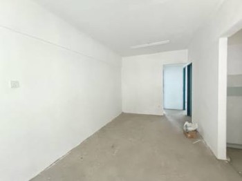 Photo #3