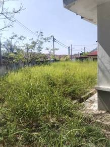 Photo #3