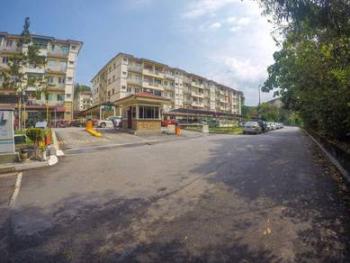 照片 #6