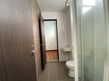 Photo #8