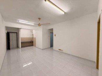照片 #10