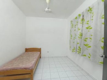 Photo #5