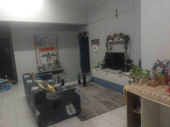 Photo #8