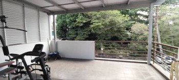 照片 #7