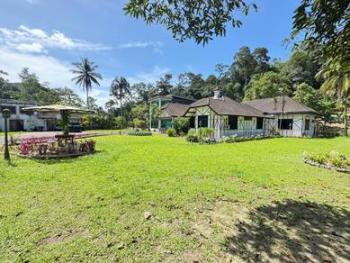 Bungalow at Batu 24, Hulu Langat, photo 1