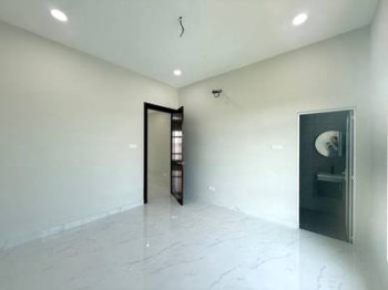 Photo #6
