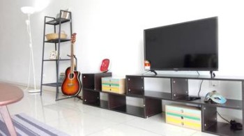 Photo #8