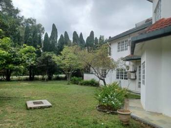 Seksyen 7, Shah Alam的平房，照片4