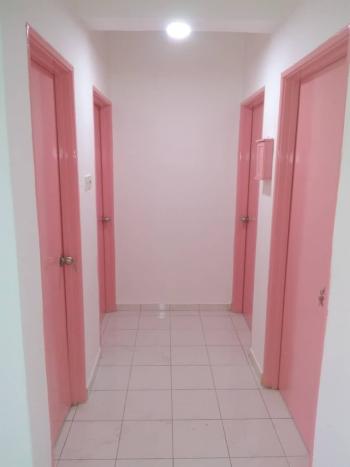Photo #7