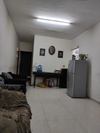 Photo #8