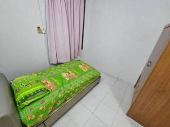 Foto #8