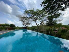 Banglo di Leisure Farm, Jalan Mawar, Iskandar Puteri, foto 3