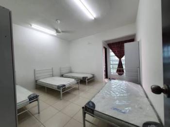 Foto #6