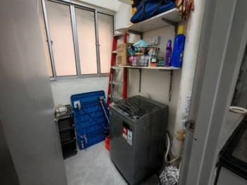 Photo #8