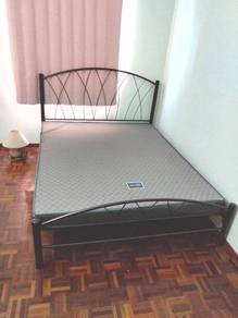 Photo #3