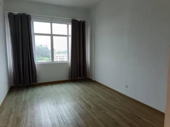 Condominium at D Mansion, Bukit Dumbar, photo 4