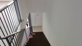 照片 #2