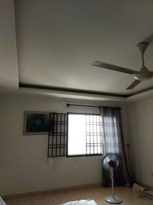 照片 #5