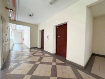 Elaeis 2, Bukit Jelutong的共管公寓，照片9