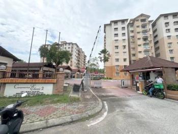 Elaeis 2, Bukit Jelutong的共管公寓，照片1