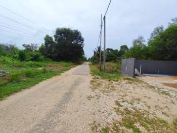 Pulau Serai, Pekan的独立式洋房，照片7