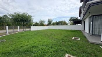 Photo #6
