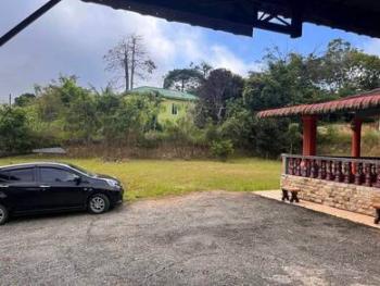 Bungalow at Kg Sg Pasu, Raub, photo 8