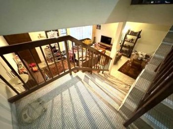 Photo #8