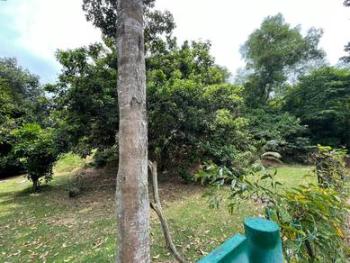 Banglo di Bandar Springhill, Port Dickson, foto 2