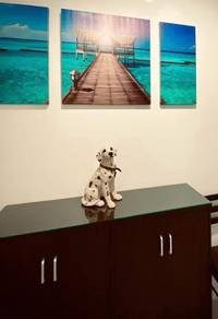Photo #7