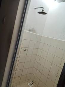 Photo #8