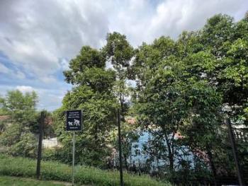 Banglo di Duta Villa, Setia Alam, foto 4
