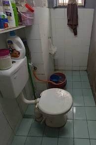 Photo #6