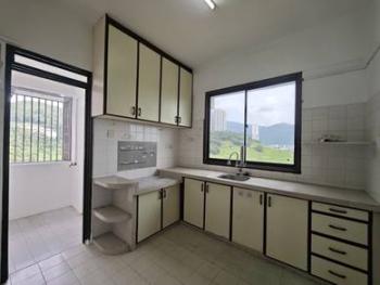 Condominium at Greenlane Heights Block B @ Greenlane, Greenlane, photo 4