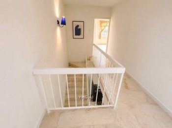 Photo #8